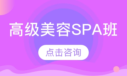 高级美容SPA班