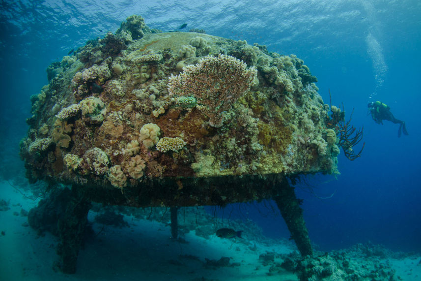 Wrecks - Egypt