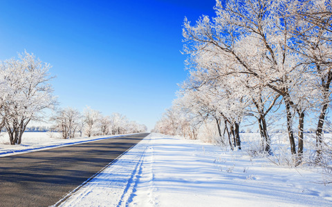 Winterreifen vs. Allwetterreifen: Sicherheit geht vor! (Anzeige)