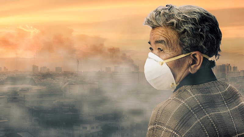 Infection Plus Pollution Equals Increased Alzheimer’s Risk