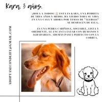 Adopta a Kara