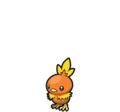 Torchic