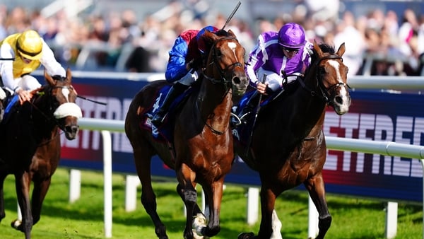 Jan Brueghel ridden by Sean Levey (centre) on their way to winning the St Leger