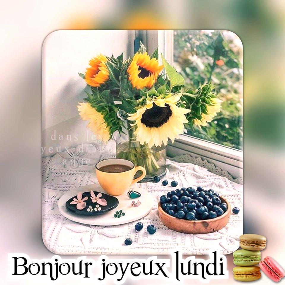 Un petit déjeuner ensoleillé avec des tournesols et des myrtilles pour bien commencer la semaine.