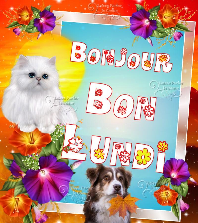 Un chat et un chien souhaitent un bon lundi entourés de fleurs colorées.