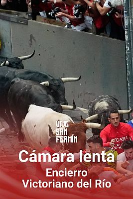 Tercer encierro San Fermín 2024 a cámara lenta