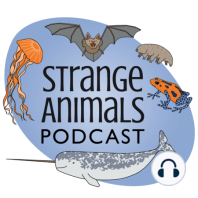 Episode 170: Spinosaurus