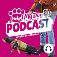 Ep 32: Can Dogs Be Stubborn? Mindset, Labels, Emotions & A Summer Surprise