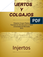 Injertos y Colgajos