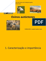 1 - Ovinos Autóctones de Portugal