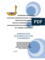 Comparación Anatómica de Aves y Mamíferos