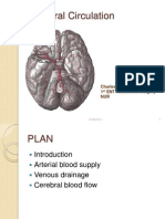 Cerebral Circulation