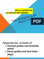 The Appendicular Skeleton 