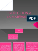 Protección A La Maternidad