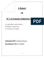 3 C Report of Amartex Industries Limited