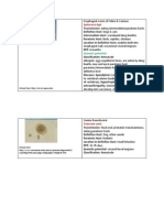 Canine and Feline Parasites