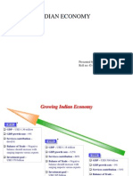 Indian Economy: Presented By: Pavan P Kannav Roll No: G-45