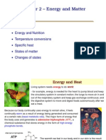 Chapter 2 - Energy and Matter