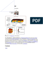 Cell Membrane: Navigation Search