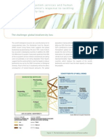 Biodiversity, Ecosystemservicesandhuman Welfare:aneconomist'sresponsetotackling Globalbiodiversityloss