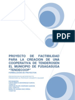 Formulacion de Proyectos Cooperativa de Tenderos FINAL