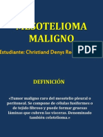 Mesotelioma Masivo - Seminario