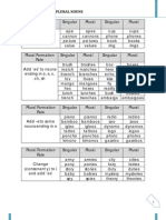 Singular & Plural Nouns - Notes