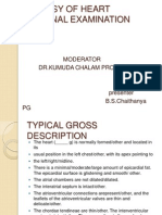 Autopsy of Heart External Examination