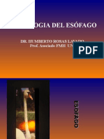 Radiologia de Esófago