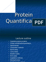 Protein Quantification