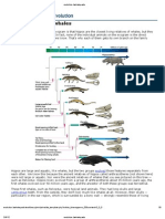 UE Evogram Evolution of Whales