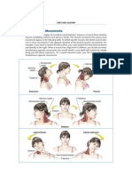 Neck Muscle Movements: Flexion Extension