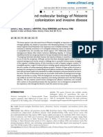 Meningitidis Colonization and Invasive Disease: Cellular and Molecular Biology of Neisseria