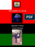 The SPIRITUAL SENSE, Mugambe and Nakuya - Walussi Mountain