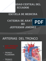 Arterias Del Tronco