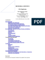 Dna Replication