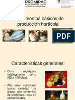 Fundamentos Producción Hortícola