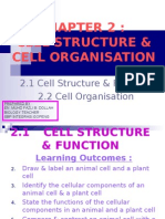 2.1 - Cell Function