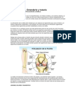 Dolor de Rodilla