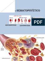 2.1 Sistema Hematopoyético