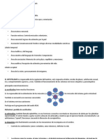 Funciones de Los Lóbulos Cerebrales