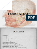 Facial Nerve