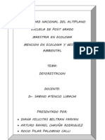 Trabajo Final Deforestacion