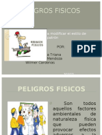 Peligros Fisicos