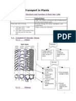 Chapter 9 Transport in Plants Lecture Notes