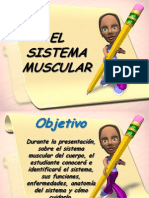 El Sistema Muscular