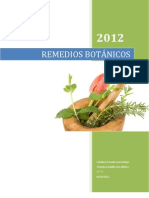 Es Bueno El Uso de Las Plantas Medicinales en Padecimientos Cotidianos