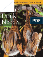 Do Bats Drink Blood Fascinating Answers To Questions About Bats Animal Q Amp A Series