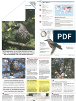 Wildlife Fact File - Birds - Pgs. 241-250