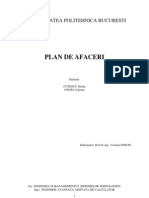 Plan Afaceri PDF